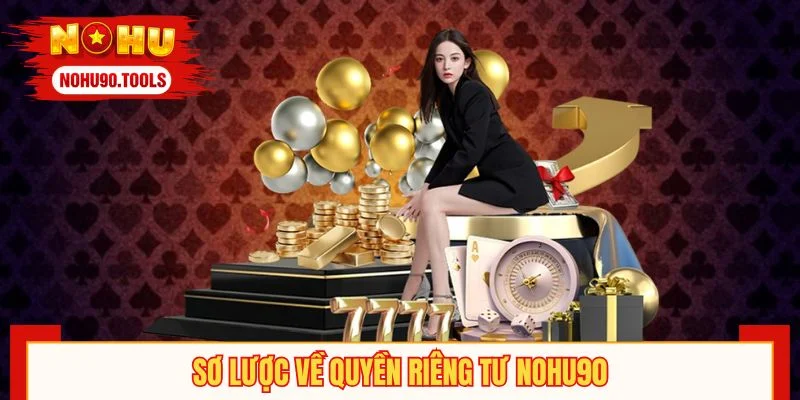 Sơ lược về quyền riêng tư NOHU90